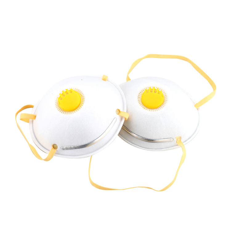 N95 Face Mask